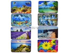 50*80CM 3D PICTURE DOOR MAT